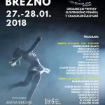 ICE CUP BREZNO 2018