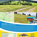 TLSTÝ JAVOR – HREBEŇOVKA OBRUBOVANEC