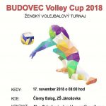 BUDOVEC VOLLEY CUP 2018