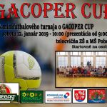 Gacoper cup