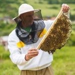 Eko – Včelí škodcovia a zápas včielok i ľudí s nimi