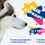 Psie záprahy v Ski Telgárt 2020